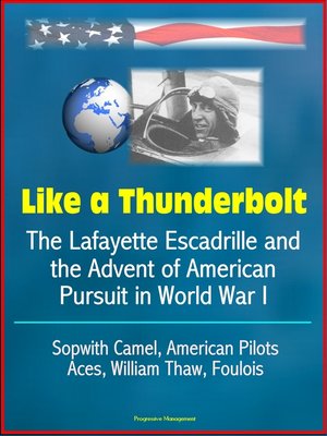 cover image of Like a Thunderbolt